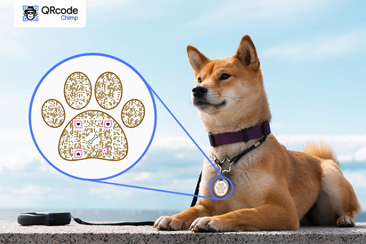 Best Practices for Pet Tag QR Codes — QRCodeChimp